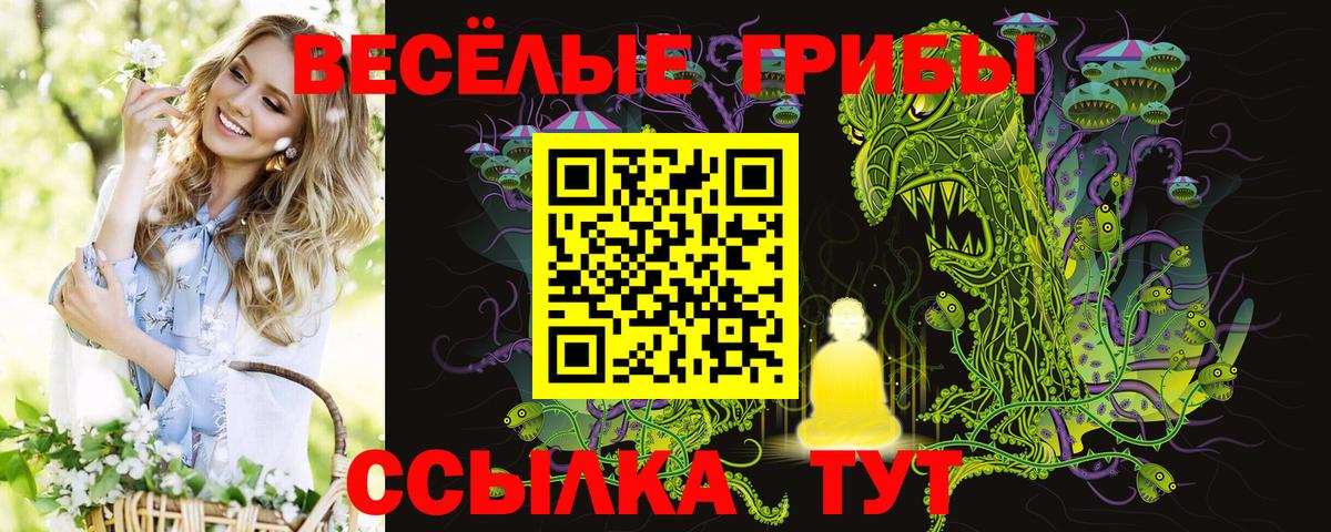 Галлюциногенные грибы GOLDEN TEACHER Ревда